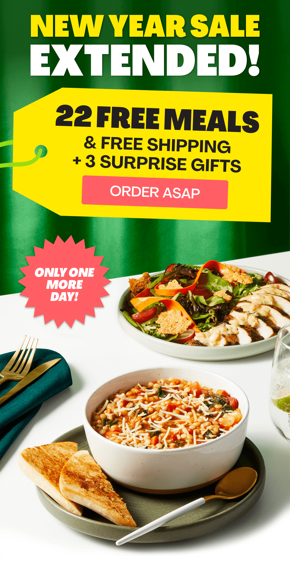 New Year Sale Extended one more day | Get 22 FREE MEALS PLUS FREE SHIPPING + 3 SURPRISE GIFTS